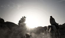 商务协同办公的网站攻击防护